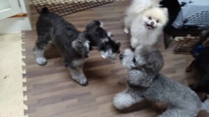 1日のお時間　2023/8/11