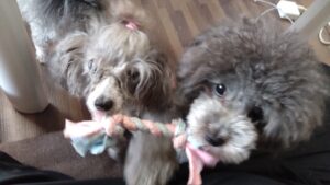 午前のお時間　2023/8/13