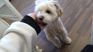 朝のお時間　2024/1/24