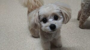 夜のお時間　2024/6/13