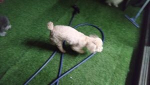 夜のお時間 2024/6/14