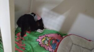 夜のお時間 2024/6/15