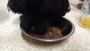 夜のお時間　2024/6/24