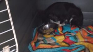 夜のお時間　2024/6/25