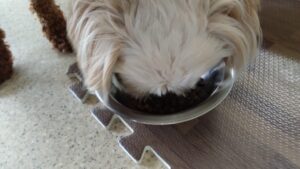 朝のお時間　2024/6/26