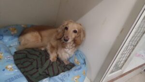 夜のお時間　2024/6/26