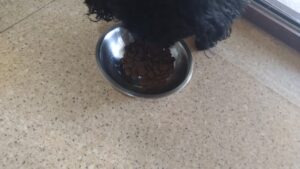 午前のお時間　2024/6/27