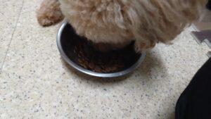 夜のお時間   2024/6/27