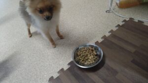 午前のお時間　2024/6/28