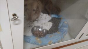 夜のお時間　2024/6/28