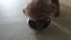 午前のお時間　2024/6/29