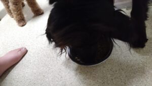 夜のお時間　2024/6/29