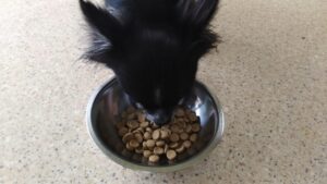 午前のお時間　2024/6/30