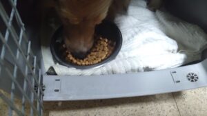 夜のお時間　2024/6/16