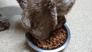 夜のお時間 2024/6/17