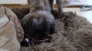 午前のお時間　2024/6/18