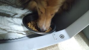 夜のお時間　2024/6/18