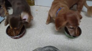 夜のお時間　2024/6/19