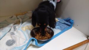 朝のお時間　2024/6/20