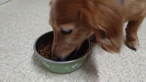 夜のお時間　2024/6/20