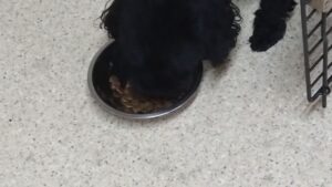 朝のお時間　2024/6/21