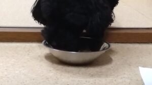 夜のお時間　2024/6/21