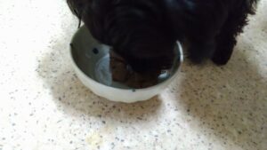 夜のお時間   2024/6/22