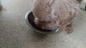 午前のお時間　2024/6/23