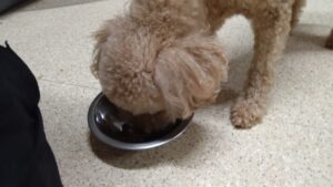 夜のお時間 2024/6/23