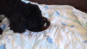 午前のお時間　2024/6/24