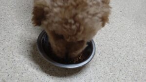 夜のお時間　2024/6/30