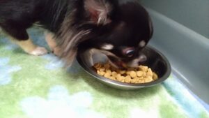 午前のお時間　2024/7/1