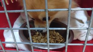 1日のお時間　2024/7/23