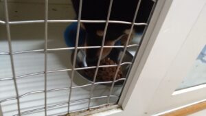 夜のお時間　2024/7/1