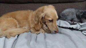 夜のお時間　2024/7/2