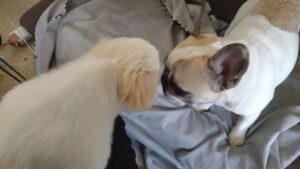 朝のお時間 2024/7/7