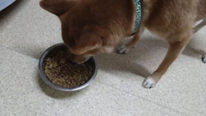 夜のお時間　2024/7/7