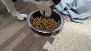 夜のお時間　2024/7/8