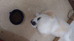 午前のお時間　2024/7/9