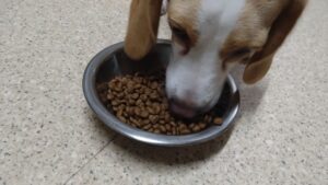 夜のお時間　2024/7/9