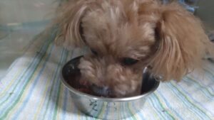 夜のお時間　2024/7/10