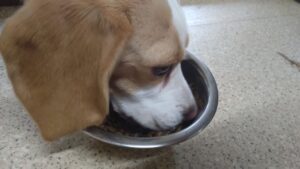 午前のお時間　2024/7/11