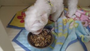 夜のお時間　2024/7/11