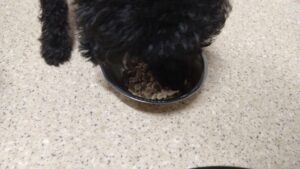 夜のお時間　2024/7/12