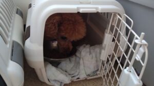 午前のお時間　2024/7/13