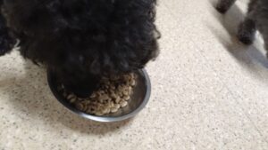 夜のお時間　2024/7/13