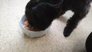 午前のお時間　2024/7/14