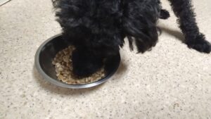 夜のお時間　2024/7/14