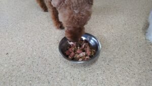 午前のお時間　2024/7/15