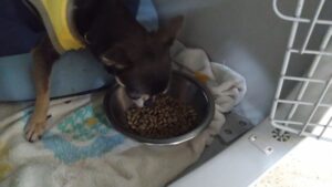 夜のお時間　2024/7/15